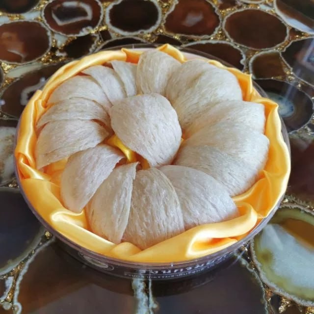 รังนกลองพินี รังนกแท้